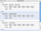 Guitar Setup panel - click to enlarge